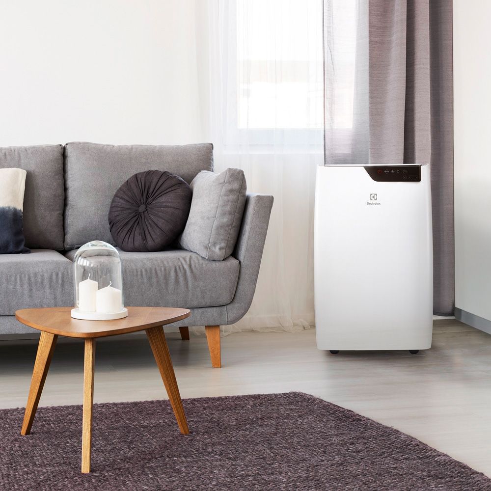 Изображение для товара Electrolux EACM-09 GT/N3