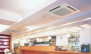 Изображение для товара Mitsubishi Electric PLFY-P50VFM-E